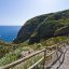 La Pelara, Panza isola d'Ischia