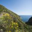 The Pelara, Panza island of Ischia