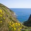 La Pelara, Panza isola d'Ischia