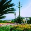 Thermal Park Poseidon Gardens Ischia