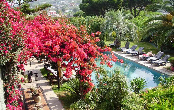 Villa il Pozzo Villa il Pozzo