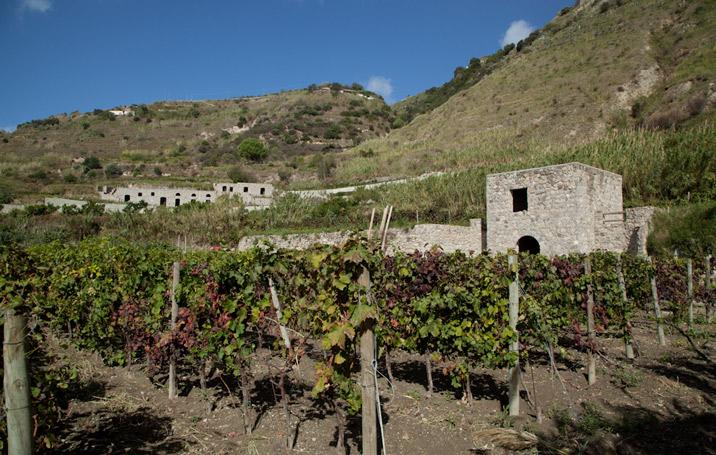 Antica Fattoria Greca