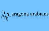 Maneggio Aragona Arabians