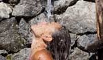 terme 150 88