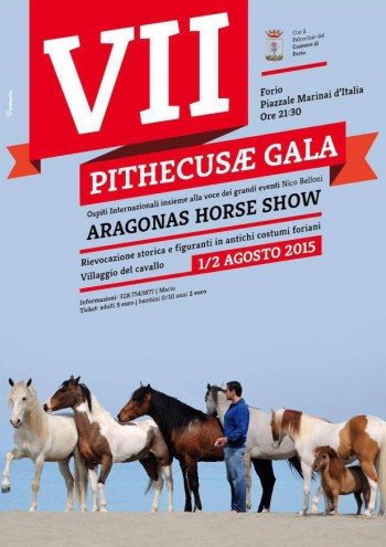Pithecusae Gala - Aragona horse show