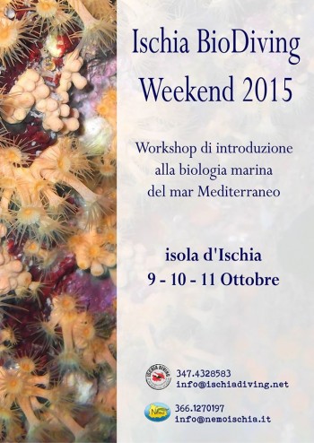 Ischia BioDiving