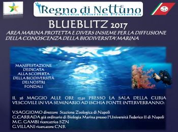 Regno di Nettuno - BlueBlitz 2017