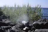 Fumarole - Isola di Ischia