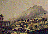 Villa Arbusto