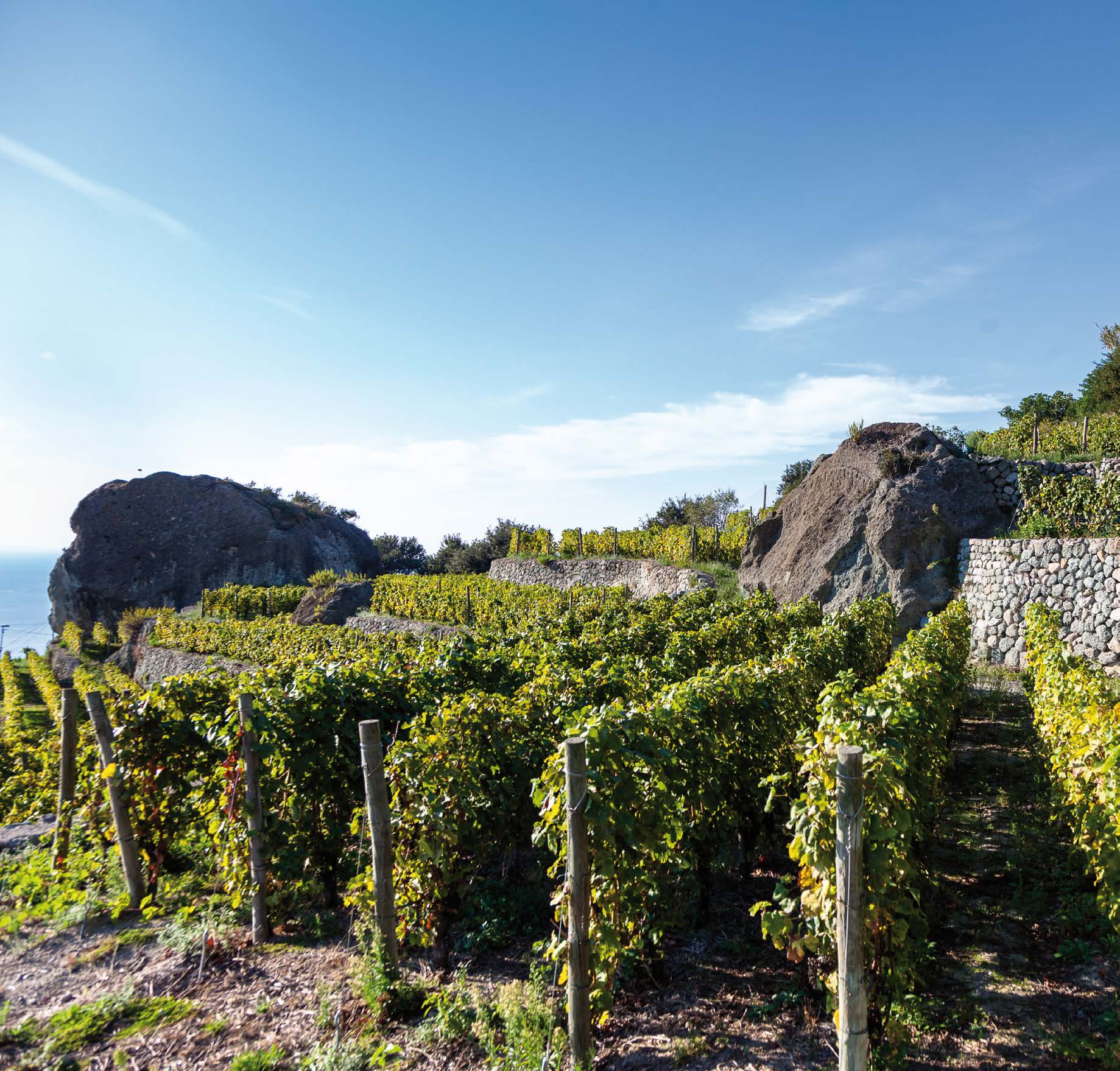 Terraced Landscapes Choosing the Future - 3° Incontro Mondiale sui paesaggi terrazzati