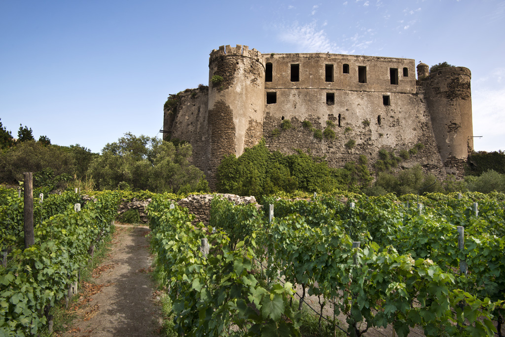 castello vino