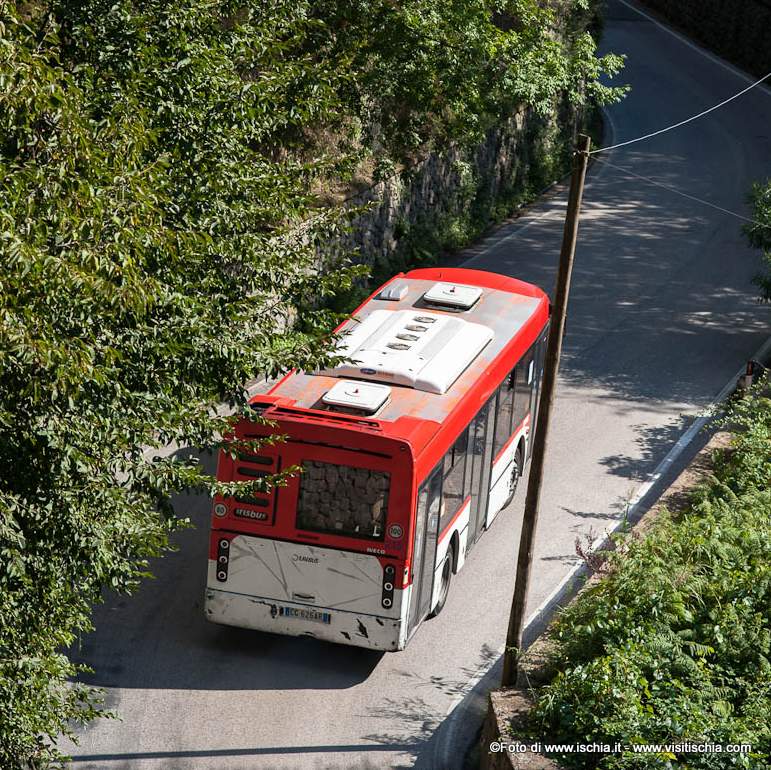 autobus fontana 1