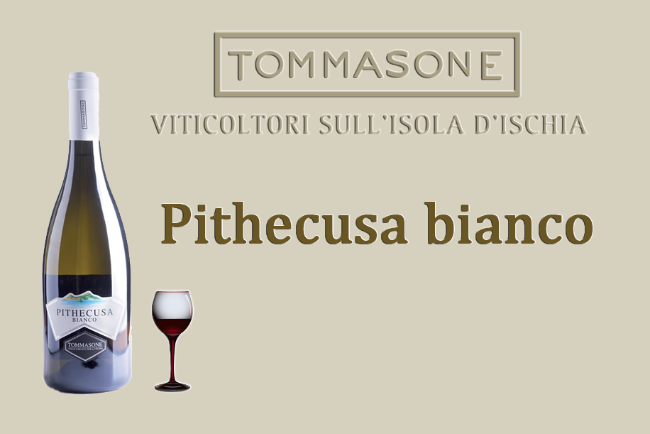 Pithecusa Bianco pithecusa bianco