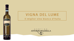 Vigna del Lume vigna del lume