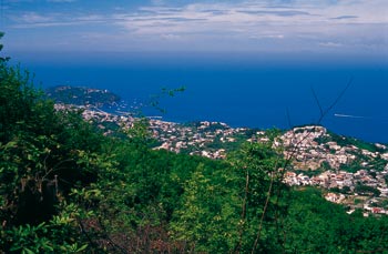 ischia veduta di casamicciola