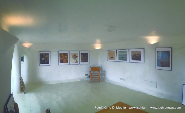 mostra Gino Di Meglio