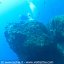 Foto subacquee Ischia regno di Nettuno