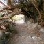 Photo of Fumaroles of Montecorvo in Ischia island