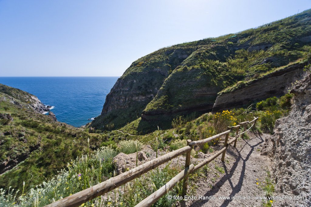 La Pelara Panza Ischia