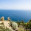 Foto del Monte di Panza isola d'Ischia