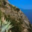 Piano Liguori isola d'Ischia vista su Capri