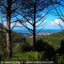 Creataio Wood  Island of Ischia