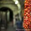 Photo ancient cellars of Ischia island