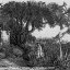 Vista dell'Isola d'Ischia 1843