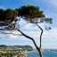 Giardino Esotico viewpoint