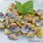 gnocchi-con-vongole-e-pesto