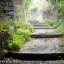 Stairs in Buceto Spring