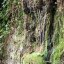 Sorgente di Buceto