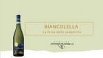 Cantine Mazzella - Biancolella