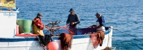 Peschereccio a largo di Ischia ER0338 AAA0936
