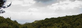 L'Autunno a Ischia autunno