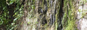 Sorgente di Buceto buceto