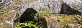 Palmento scavato nel tufo verde nel bosco della Falanga isola d'Ischia palmento-falanga