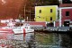 Guardia Costiera Ischia