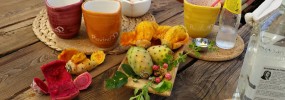 Cactus cocktail caktus