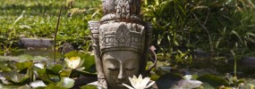 Giardino di Iside rose05