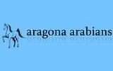 Maneggio Aragona Arabians Maneggio Aragona Arabians